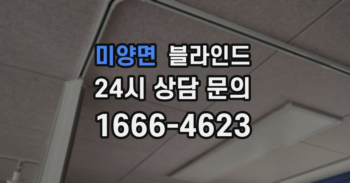 미양면 블라인드