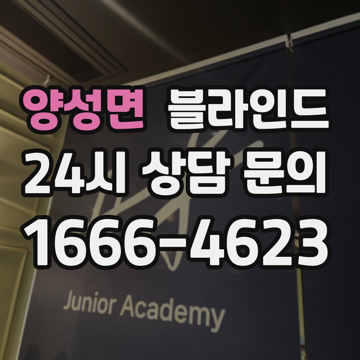 양성면 블라인드