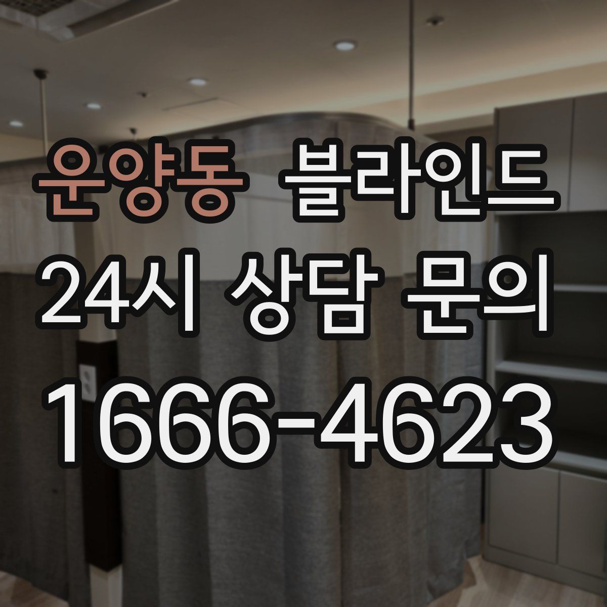 운양동 블라인드