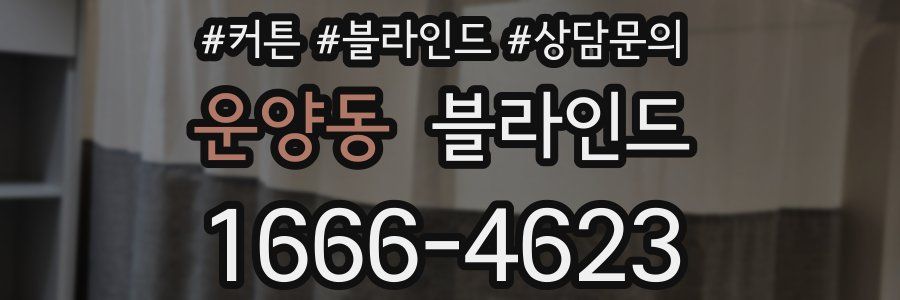 운양동 블라인드