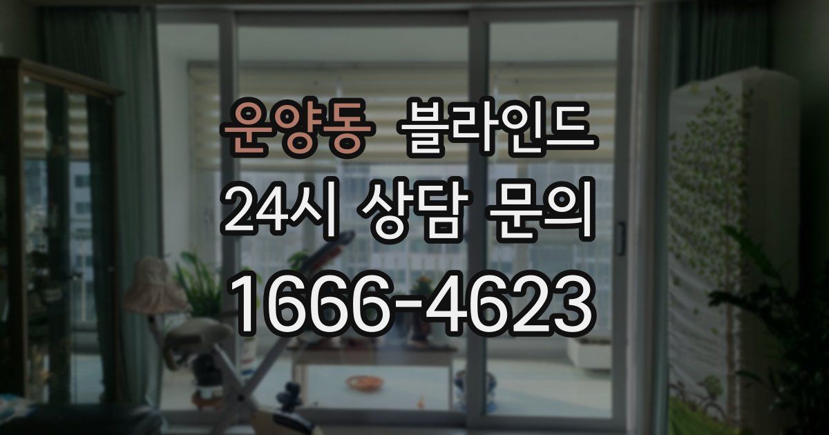 운양동 블라인드