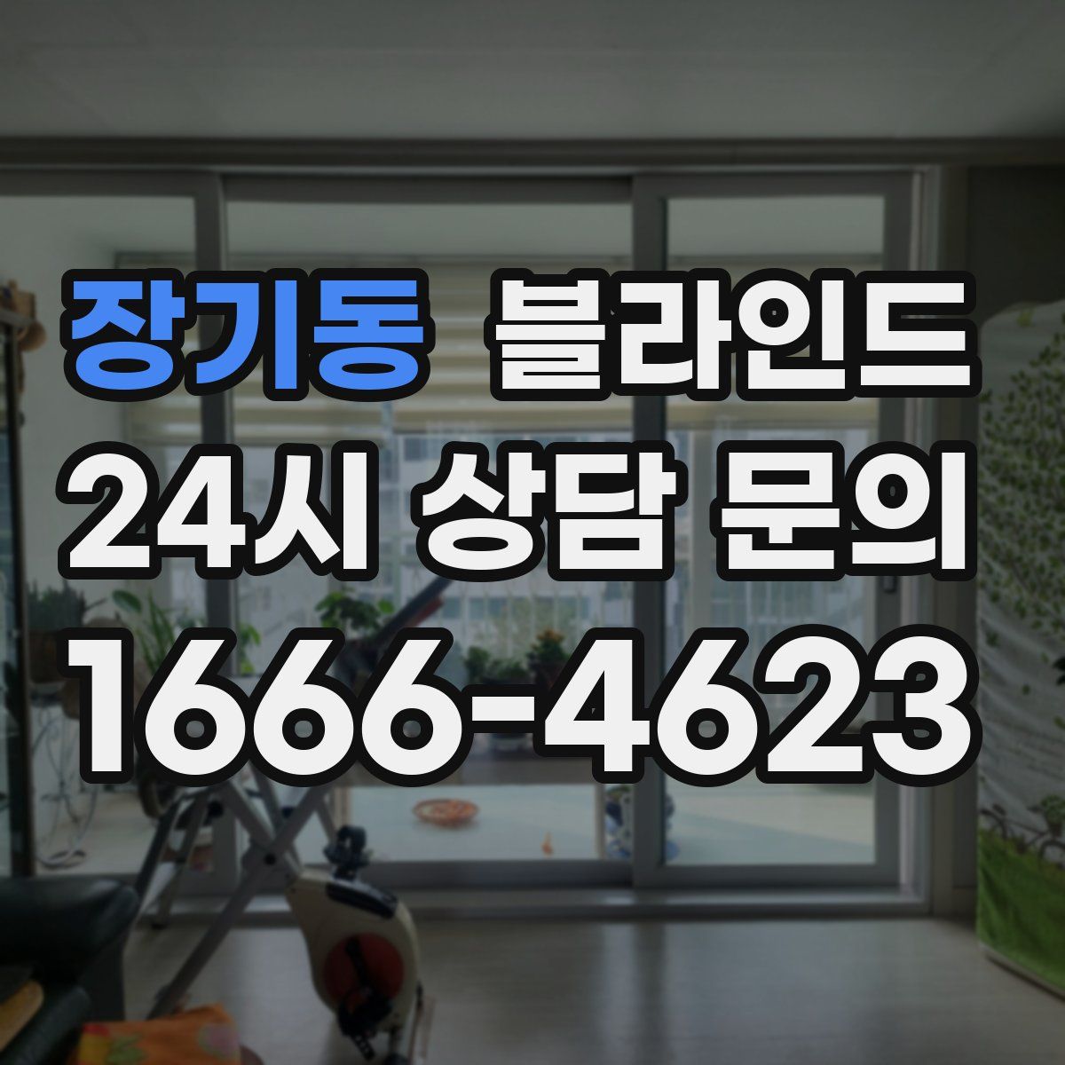 장기동 블라인드