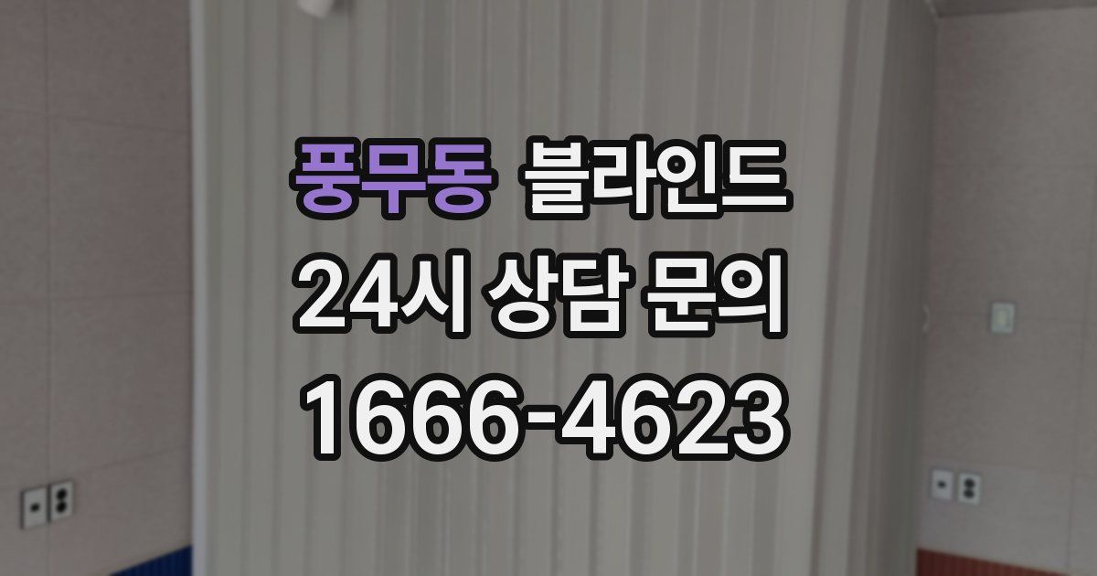 풍무동 블라인드