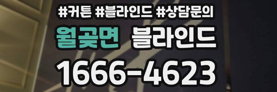 월곶면 블라인드