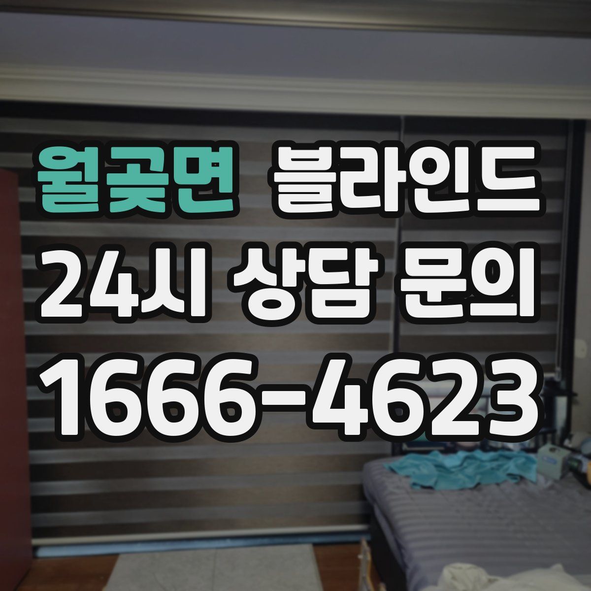 월곶면 블라인드