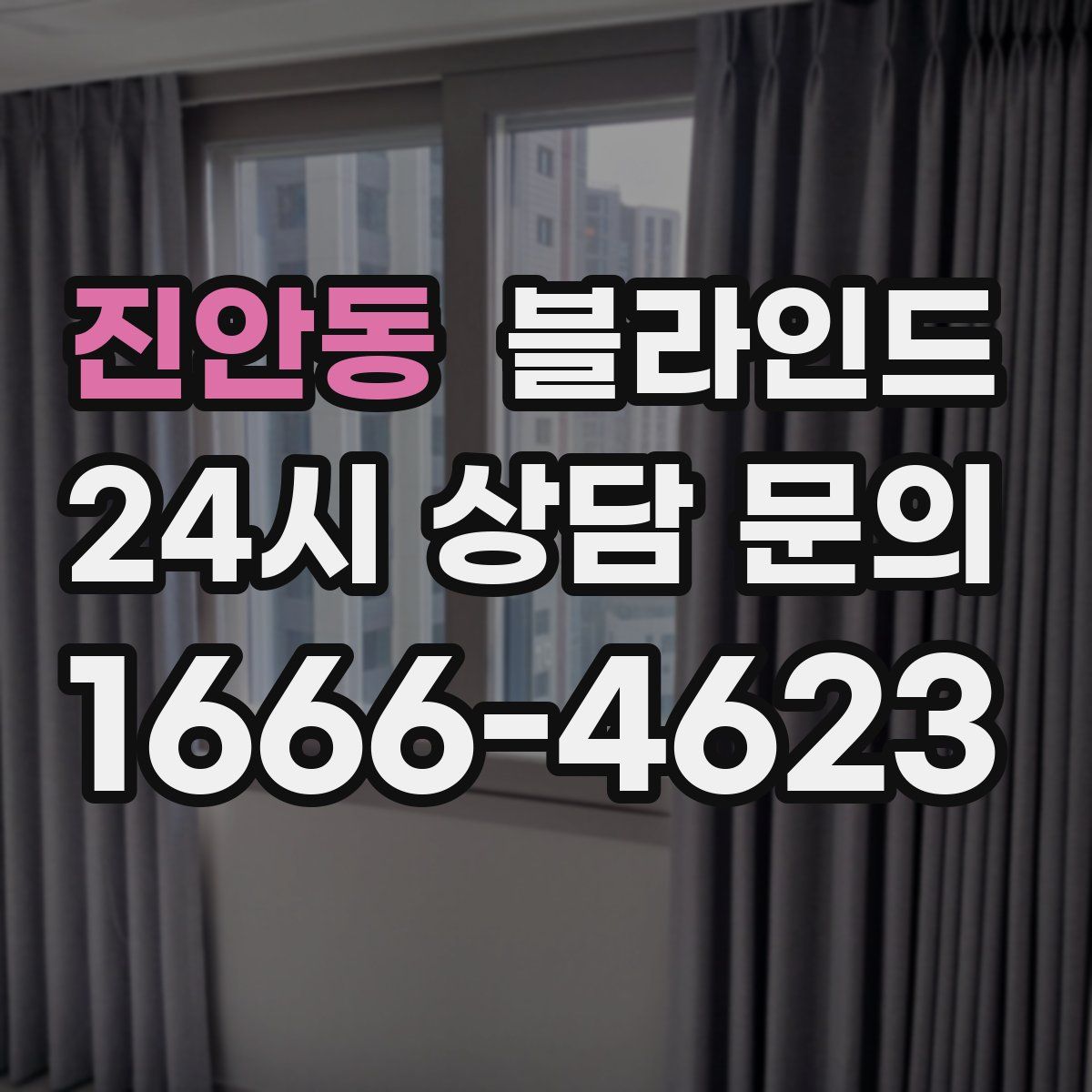 진안동 블라인드
