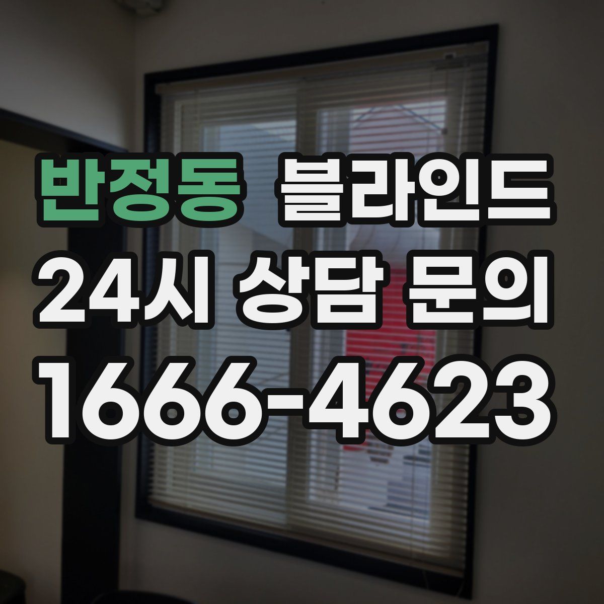반정동 블라인드