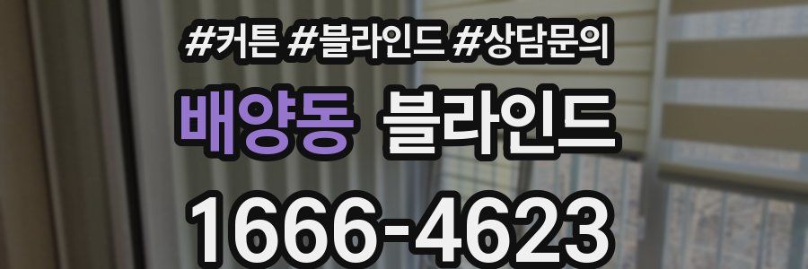 배양동 블라인드