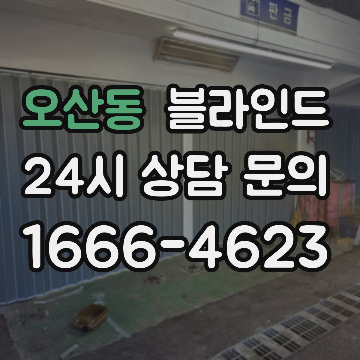 오산동 블라인드