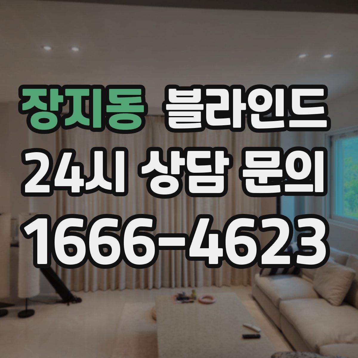장지동 블라인드