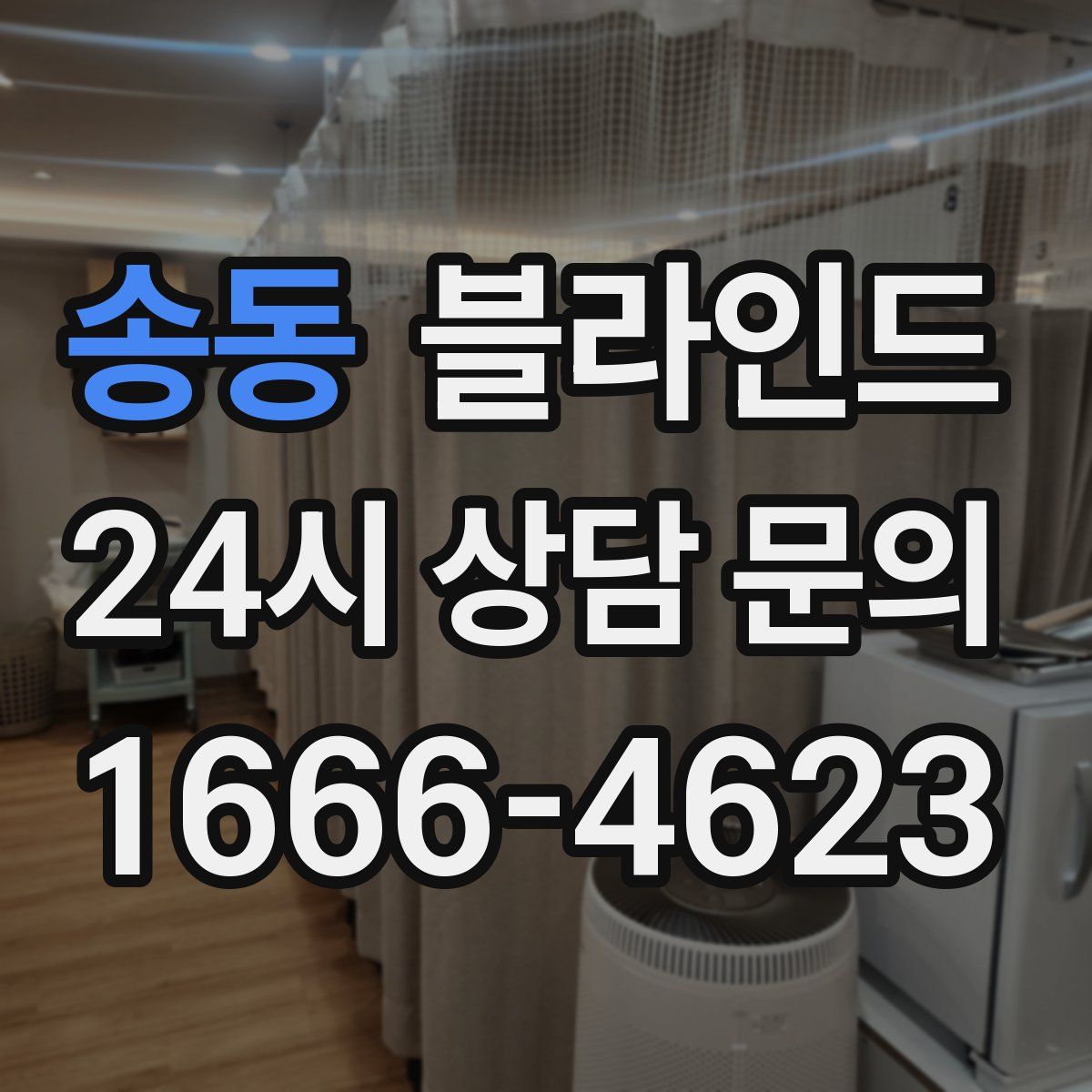 송동 블라인드