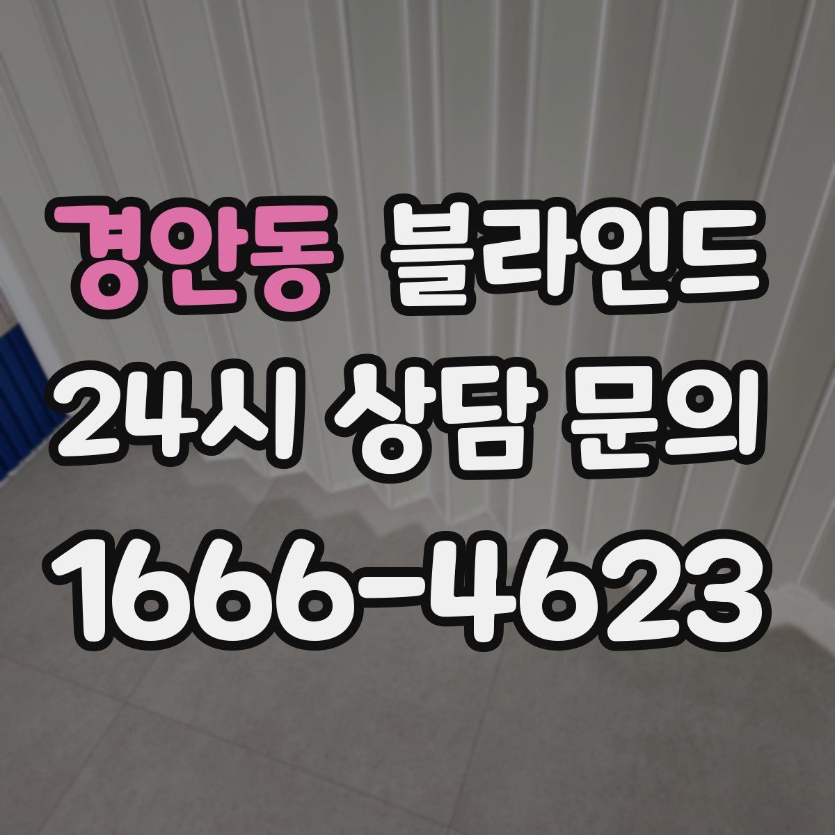 경안동 블라인드