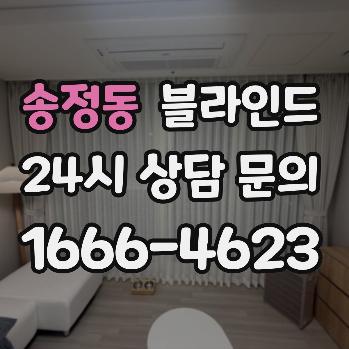 송정동 블라인드