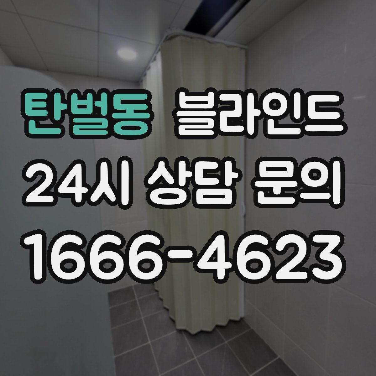탄벌동 블라인드