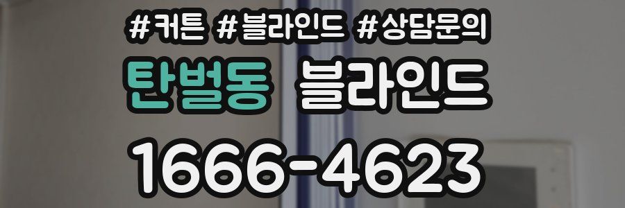 탄벌동 블라인드
