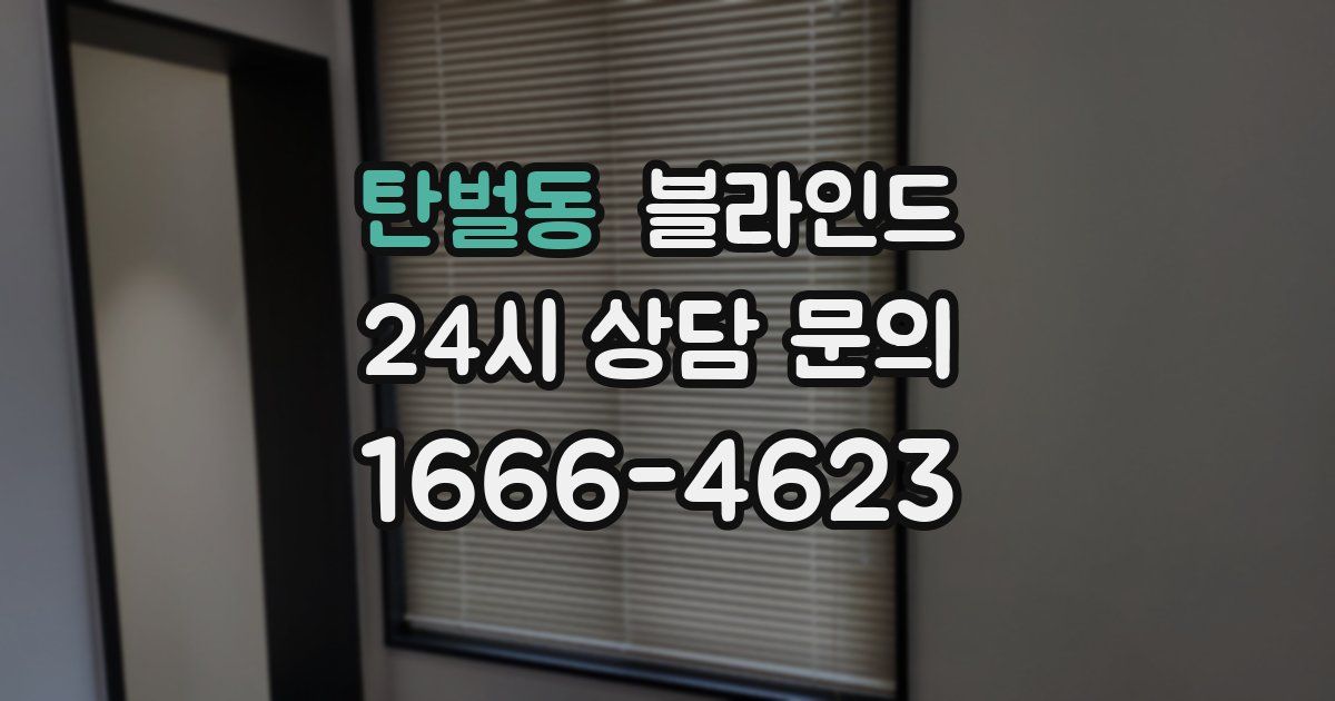 탄벌동 블라인드