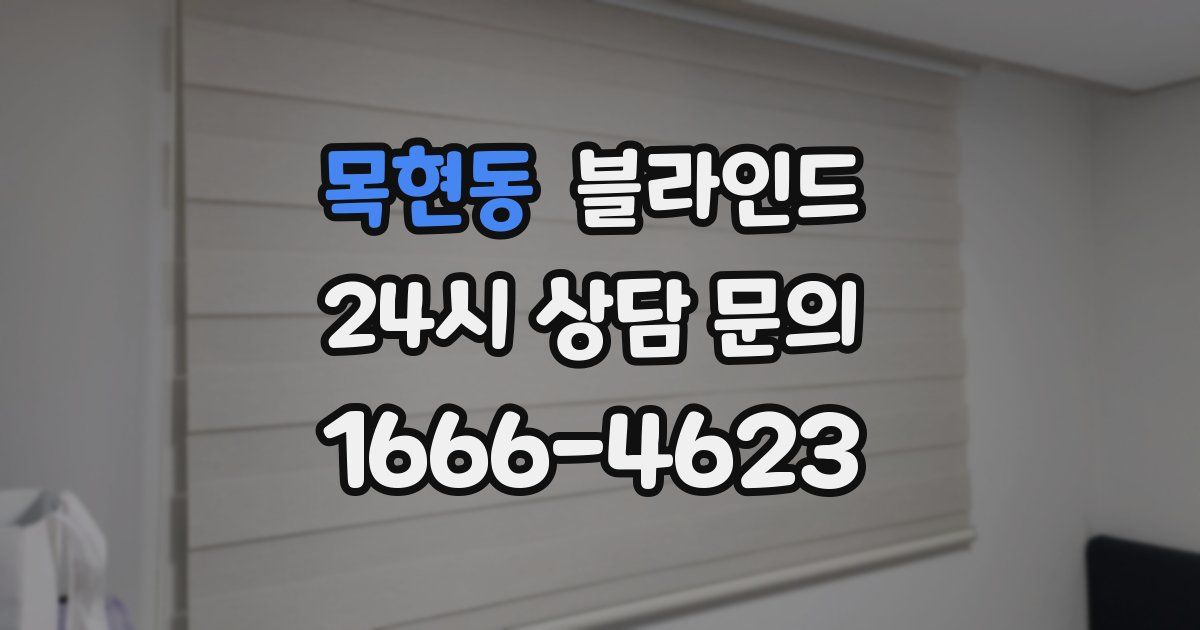 목현동 블라인드