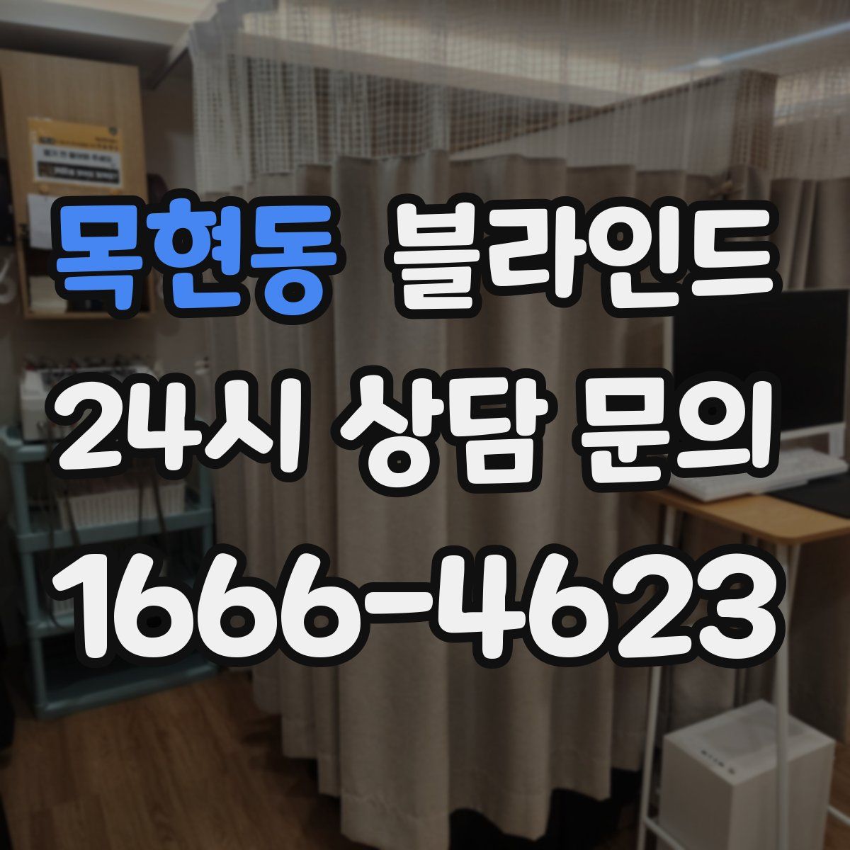 목현동 블라인드