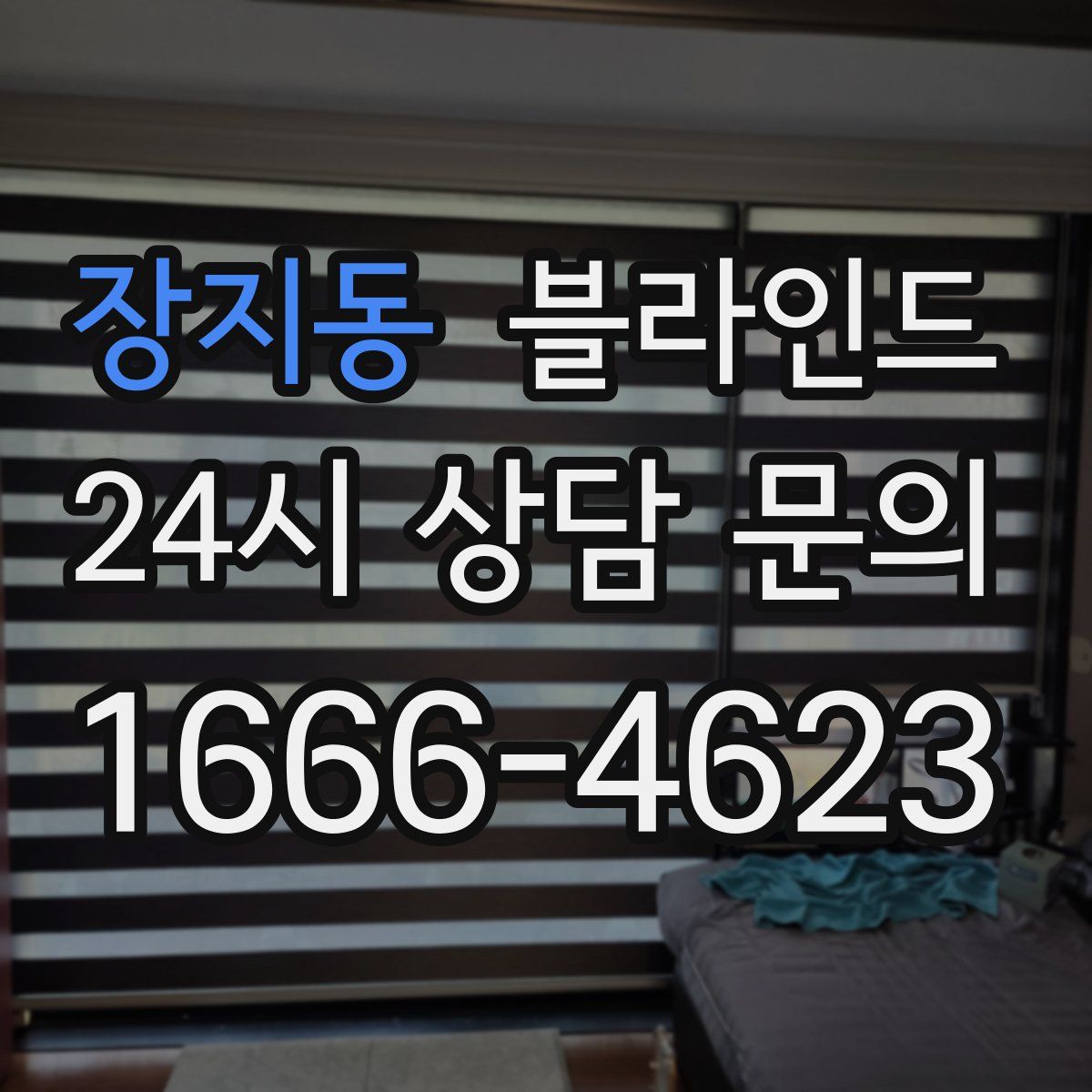 장지동 블라인드