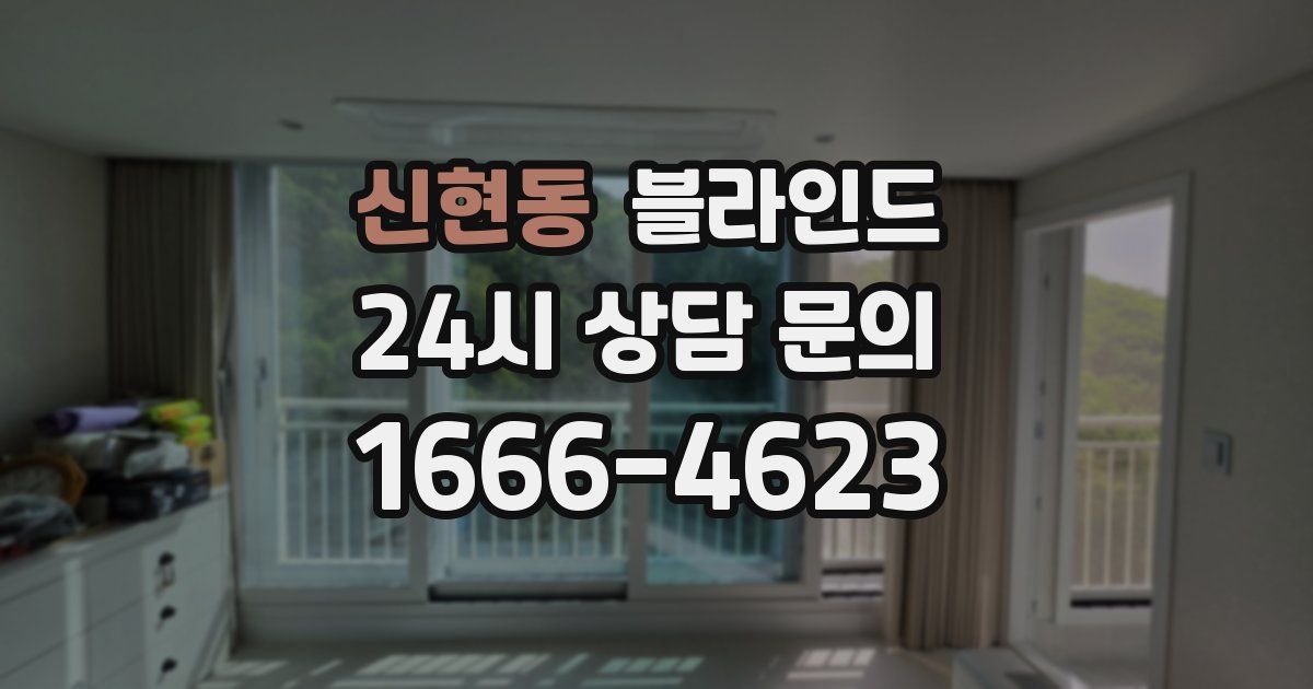 신현동 블라인드