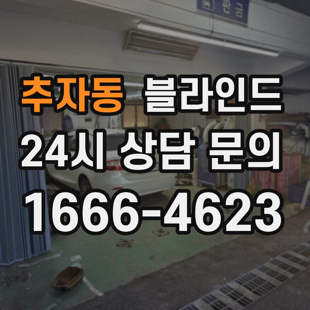추자동 블라인드