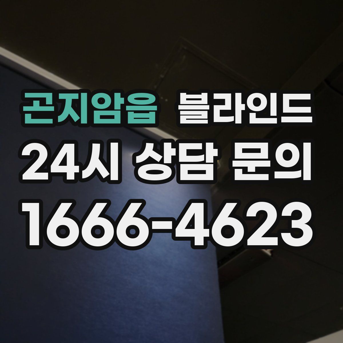 곤지암읍 블라인드