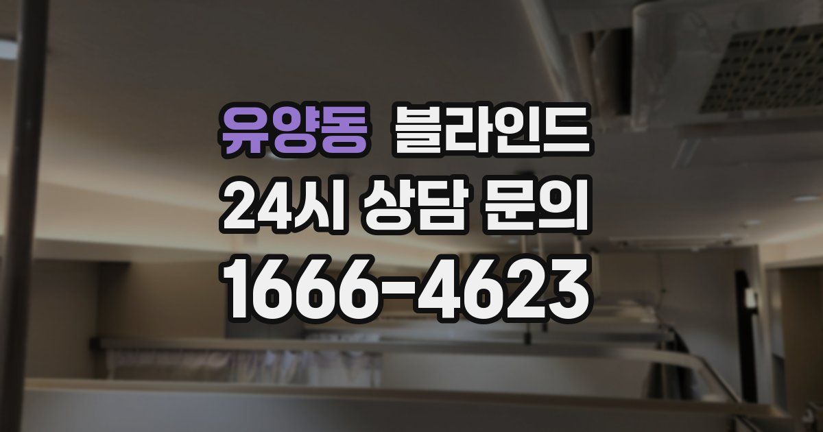 유양동 블라인드