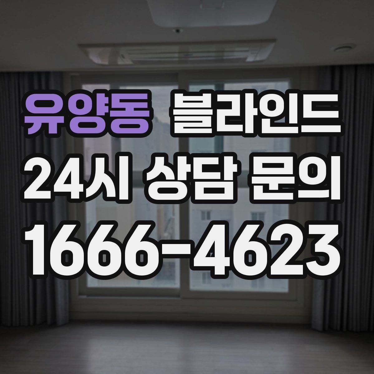 유양동 블라인드