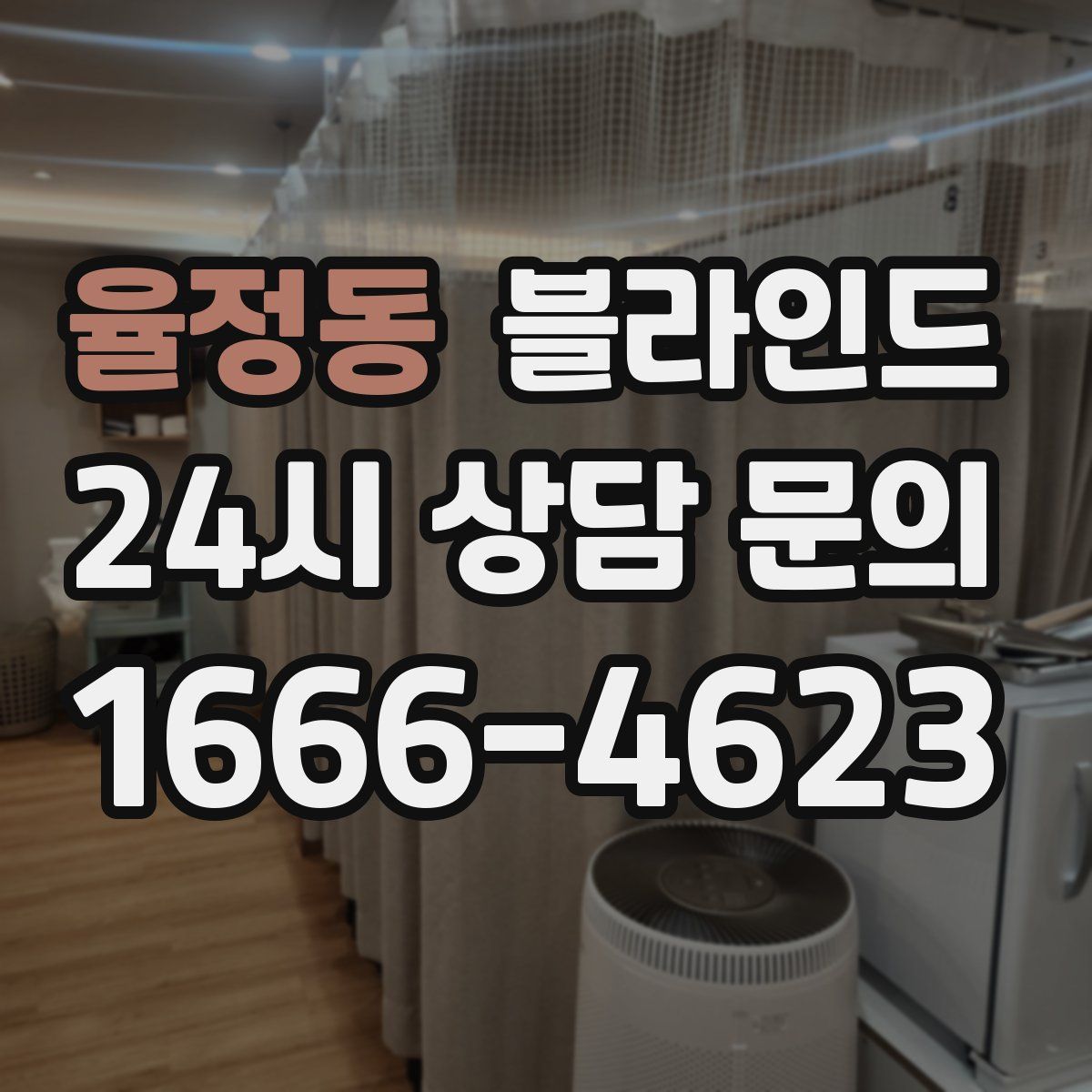 율정동 블라인드