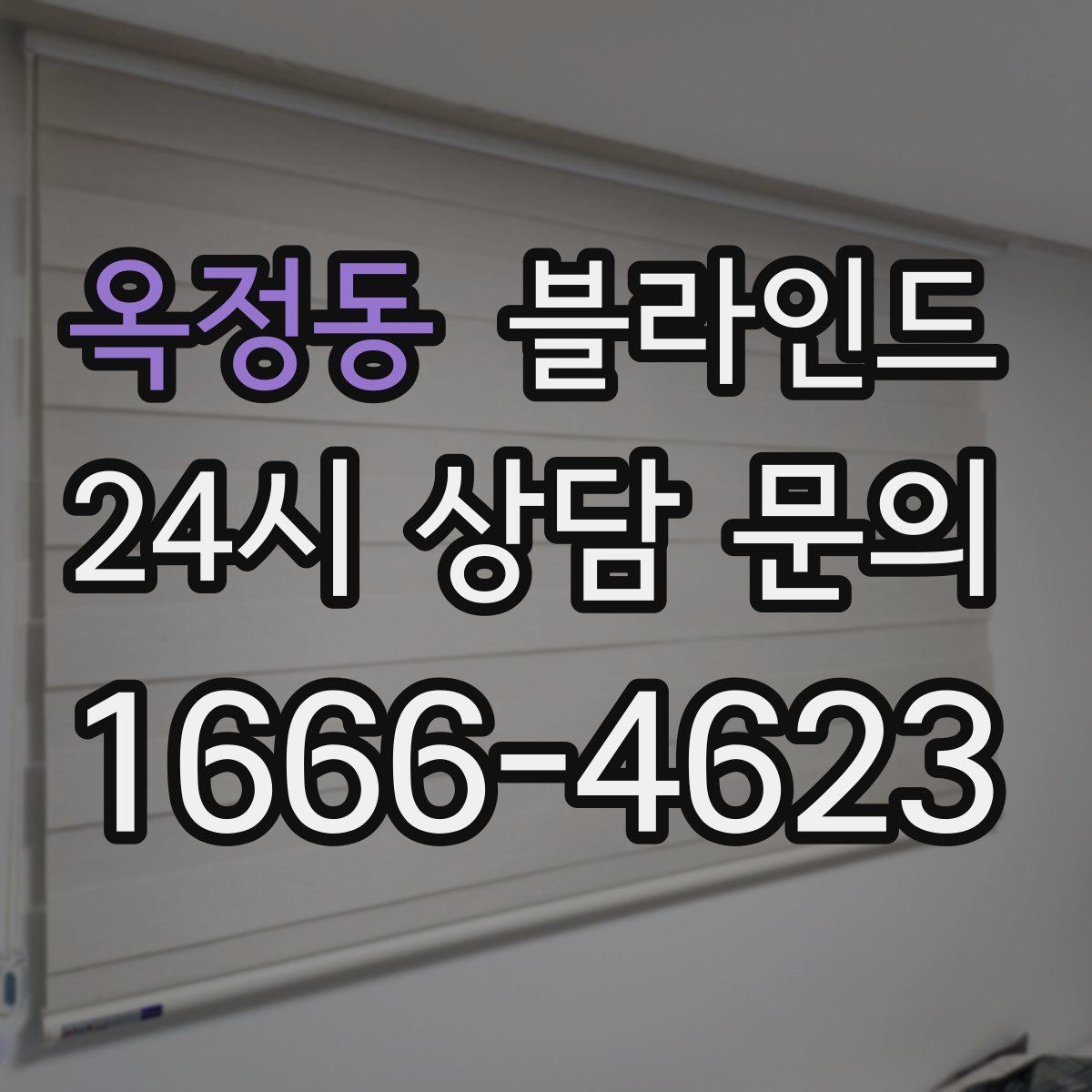옥정동 블라인드