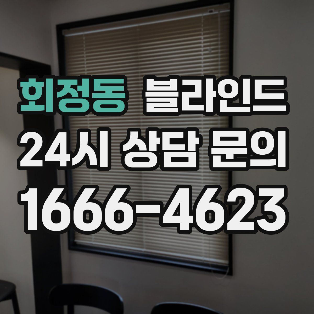 회정동 블라인드
