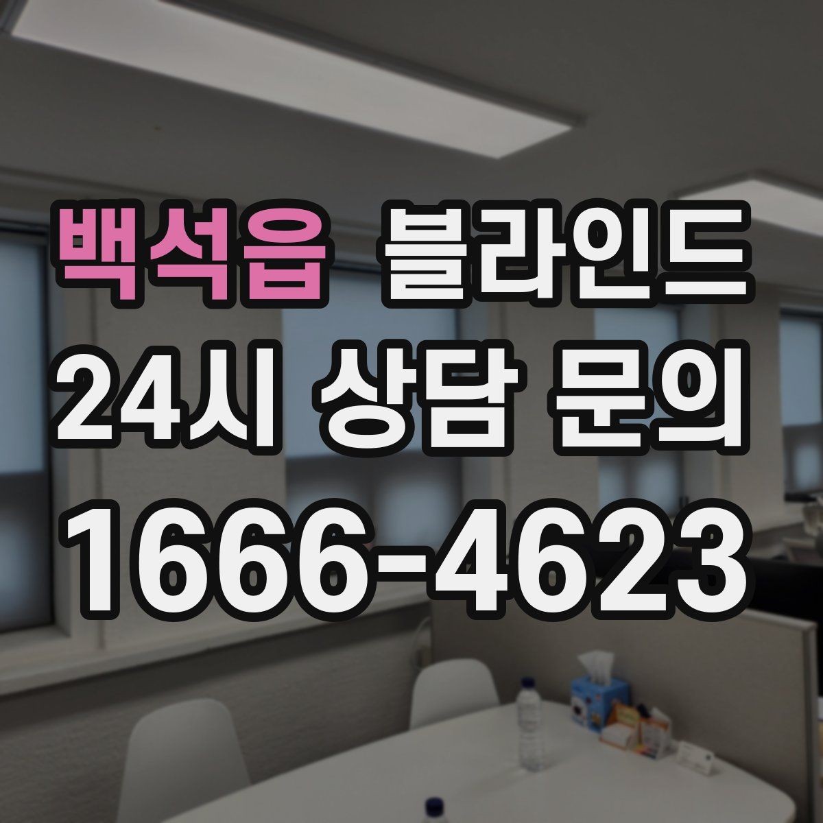 백석읍 블라인드 설치 전 예산과 일정 정리
