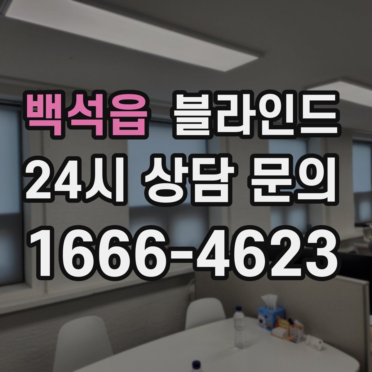 백석읍 블라인드