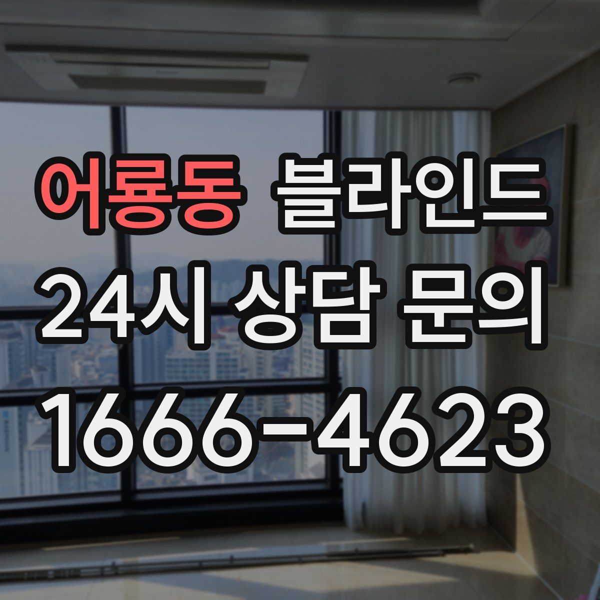 어룡동 블라인드