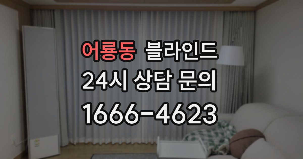 어룡동 블라인드