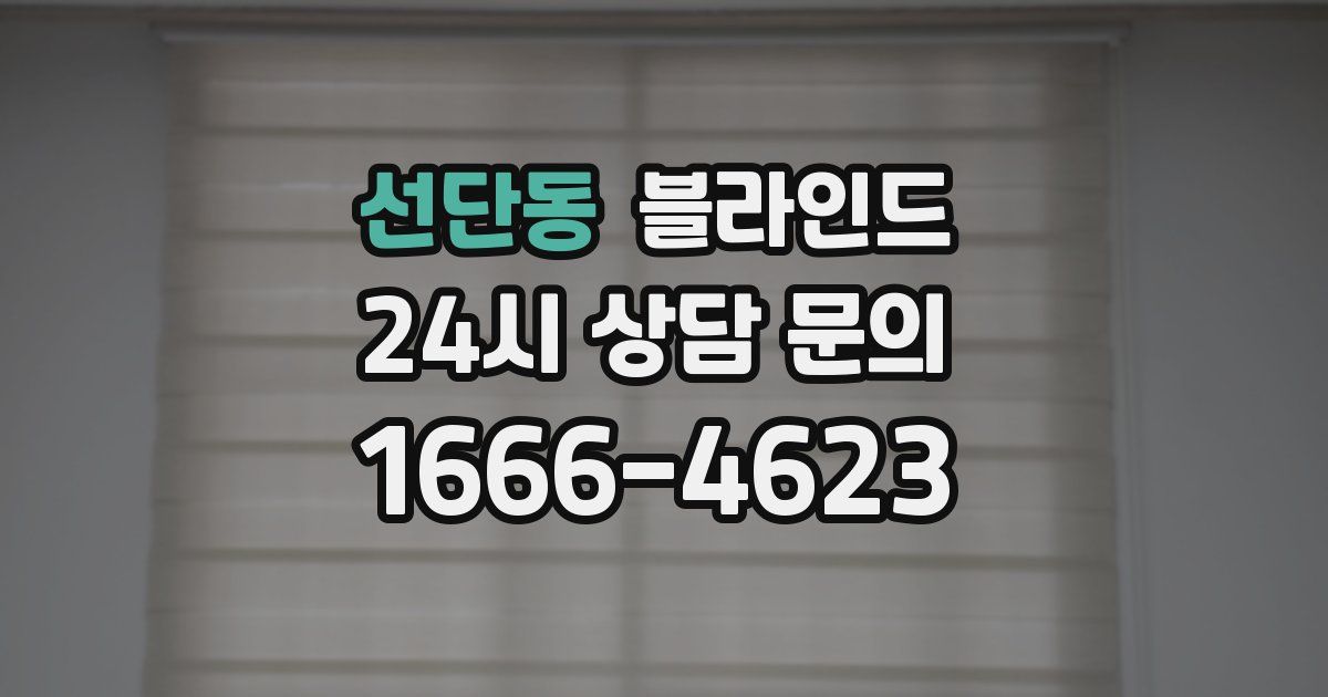 선단동 블라인드