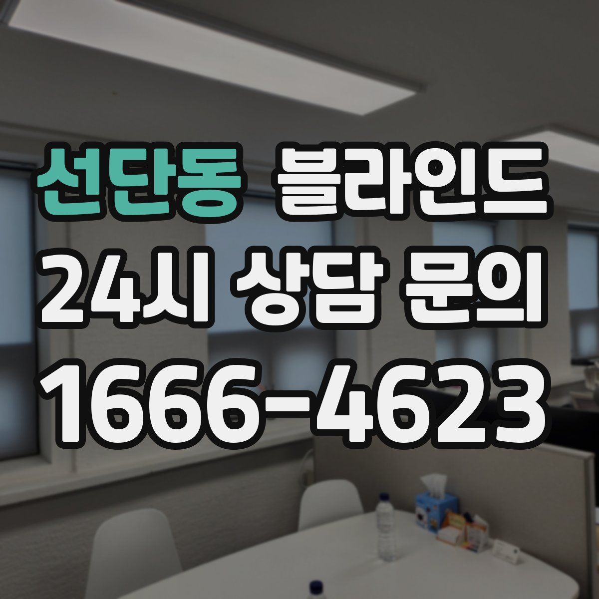 선단동 블라인드