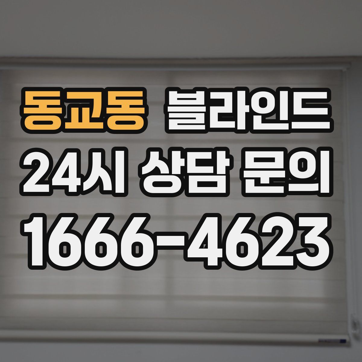 동교동 블라인드