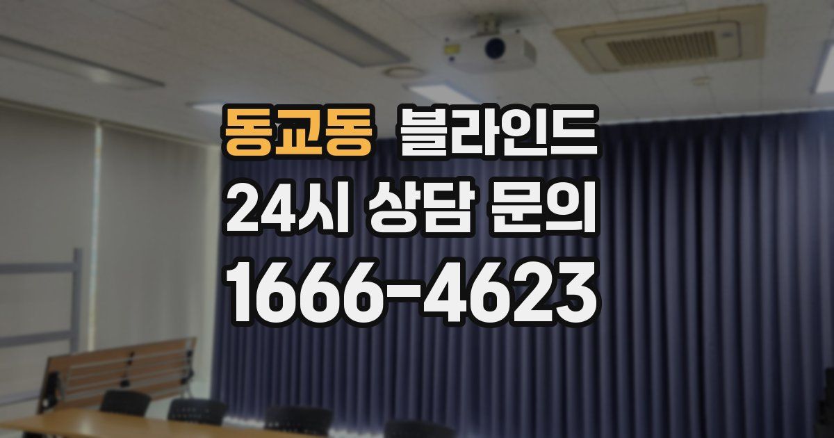 동교동 블라인드