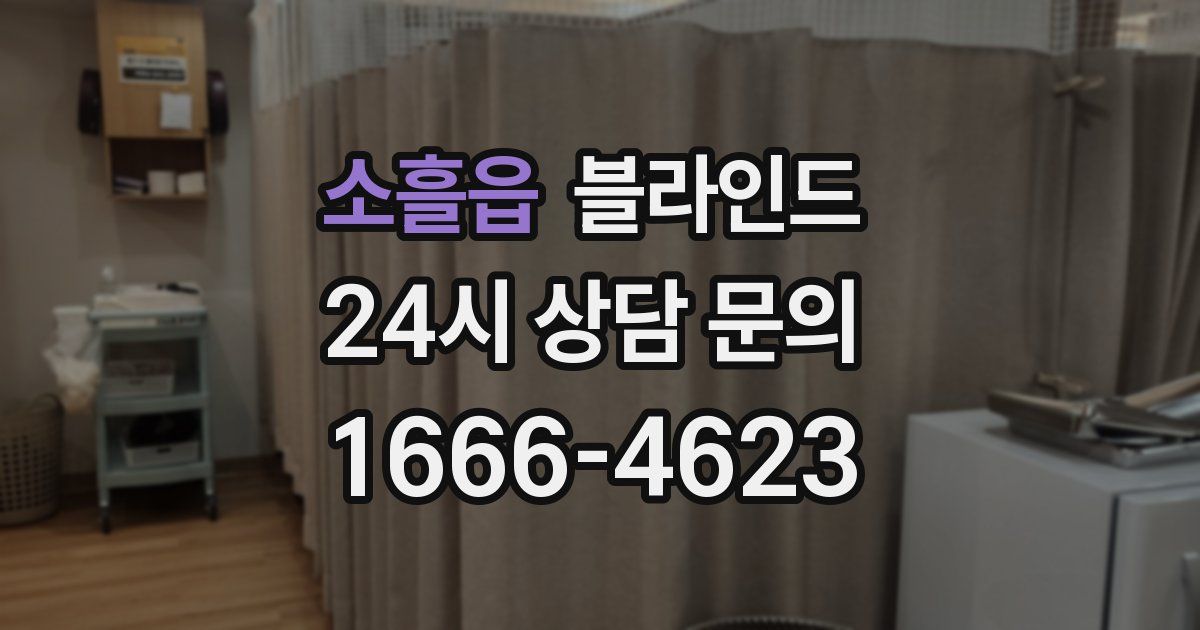 소흘읍 블라인드