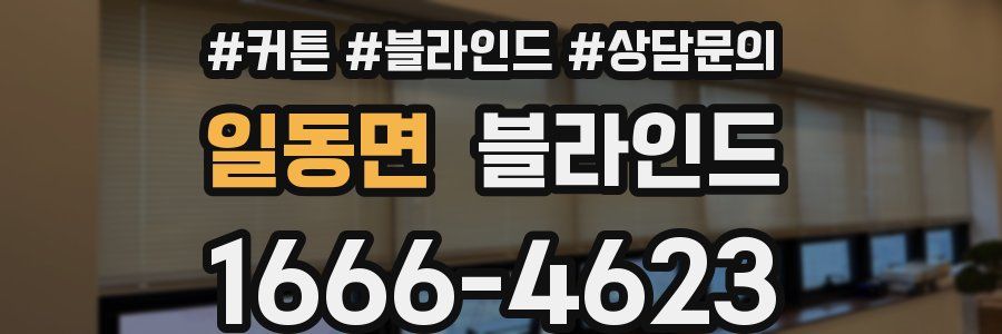 일동면 블라인드