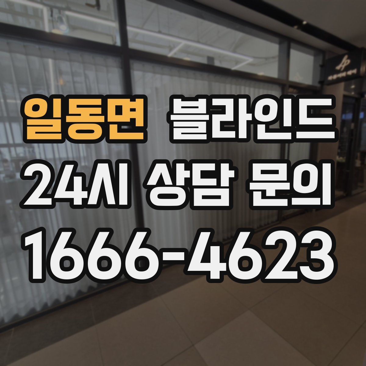 일동면 블라인드