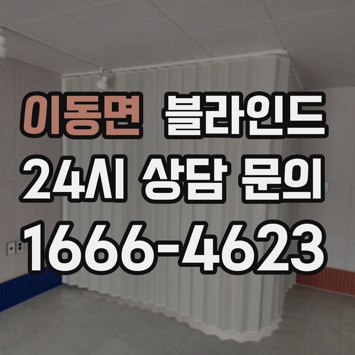이동면 블라인드