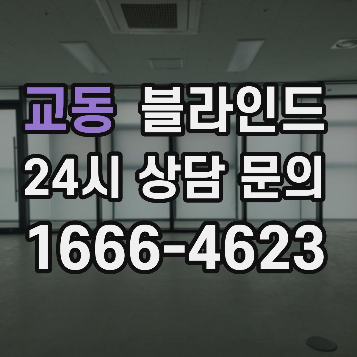 교동 블라인드