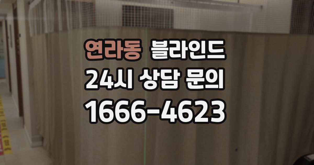 연라동 블라인드