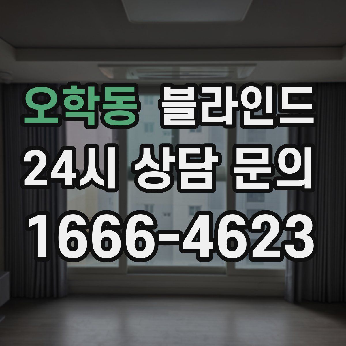 오학동 블라인드