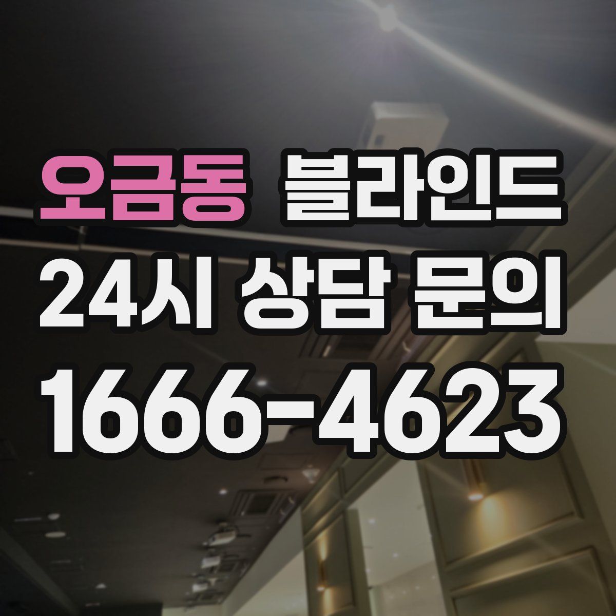 오금동 블라인드
