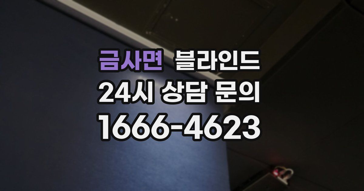 금사면 블라인드