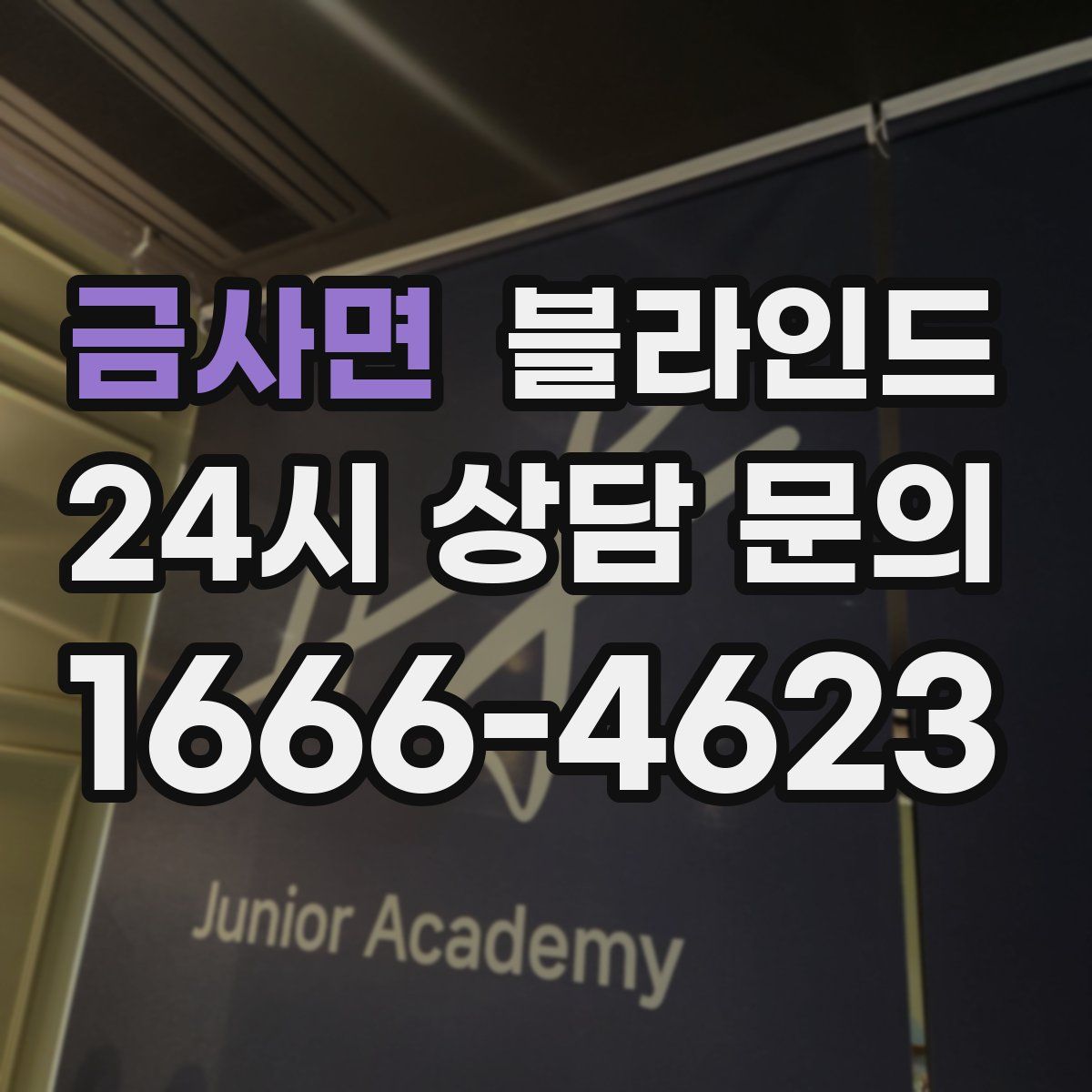 금사면 블라인드