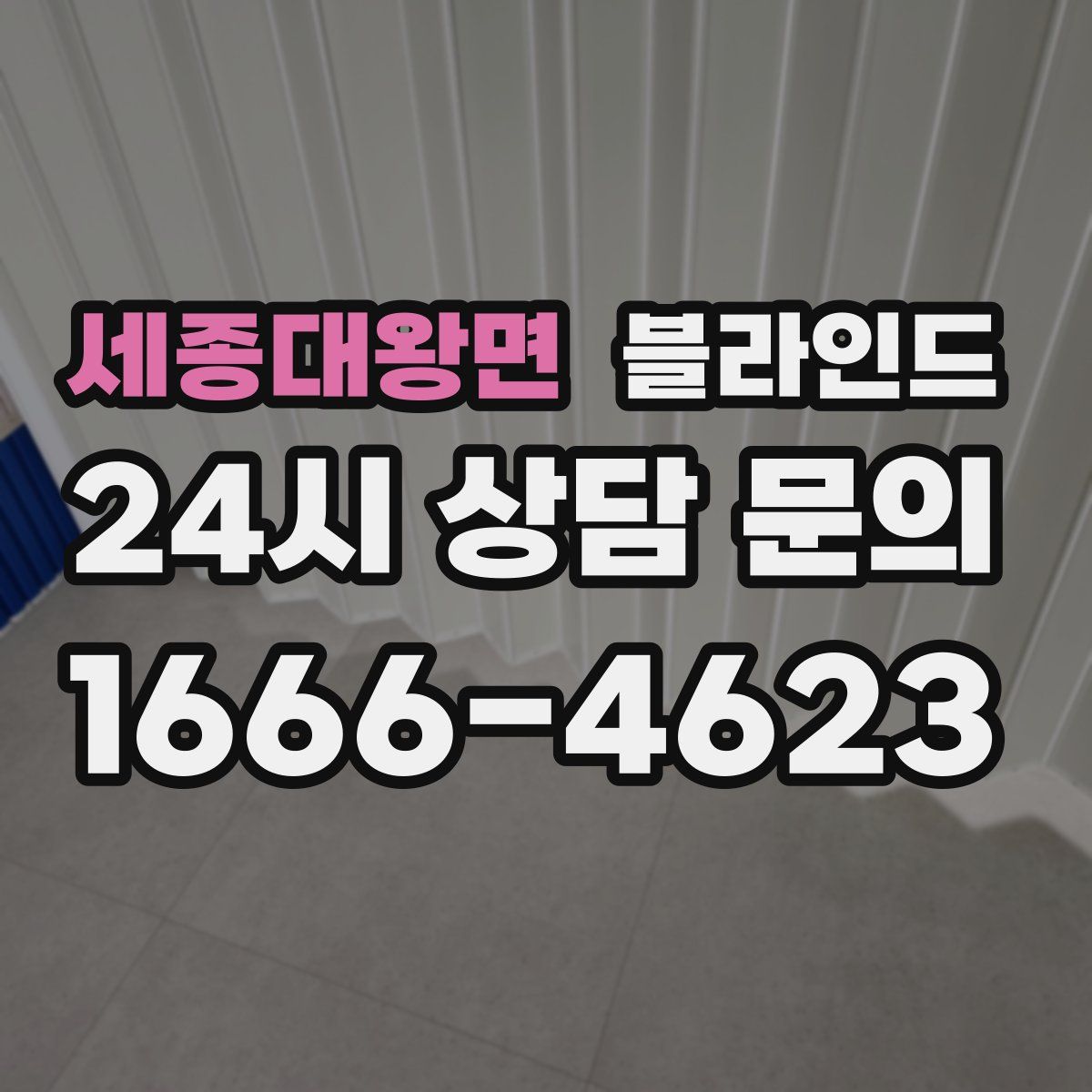 세종대왕면 블라인드